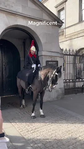 This is beautiful!  #foryou #horseguardsparade #king #guards #foryoupage #foryourpage #viral #trending #uk #London #horse #horseriding #animals 