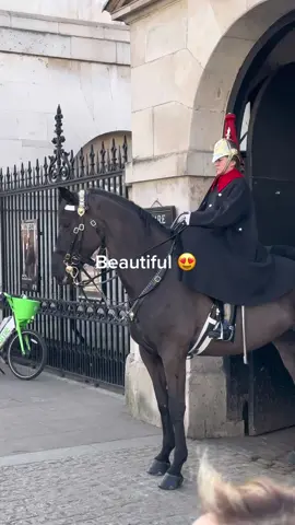Beautiful  #foryou #horseguardsparade #king #guards #foryoupage #foryourpage #viral #trending #uk #London #horse #horseriding #animals 