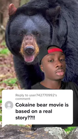 Replying to @user742770992 If you wanna see a BBB (Black Blow Bear), check out @cocainebear in theaters right now @universalpics  #cocainebear#universalpartner#nature          