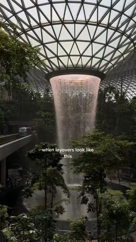 First stop in Singapore 🤎#travel #airport #layover #changi #singapore #travellife #travellersoutlook