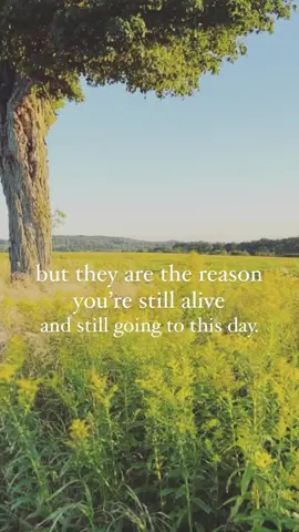 #wordsofajay #healingquotes #healing #inspiration #selflove #MentalHealth #quotes #quote #quotestoliveby #quoteoftheday #quotesthathitdifferent #quotesthathityouhard #quotesthathithard #quotesaesthetic #quotess #quotestory #quotestokk #quotestok #quotestoremember #quotestoinspire 