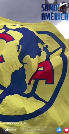 Feliz dia de la mejor bandera del mundo #clubamerica 