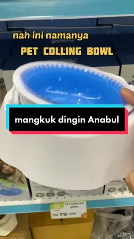 pengen Air Minum Anabul selalu Fresh ? coba pakai Cooling Bowl yang satu ini #mangkukkucing #coolingbowl #mangkukanjing #petbowl #petkingdom #petkingdomalsut #HelloHongKong 