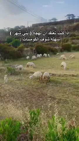 هيا بالشهاريه 🥺🤍#النماص #بني_شهر #اككسبلوور💕 #ترند  