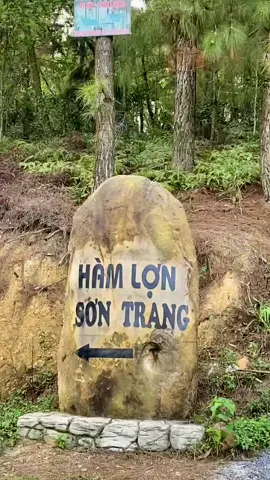 Hồ Hàm Lợn - Sóc Sơn #camping #socson   