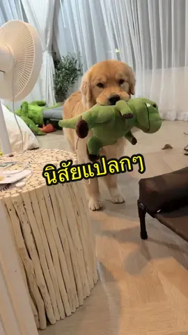 นิสัยแปลกๆของจุ๊ม #จุ๊มเหม่งมีอะไร #สวนสัตว์tiktok 