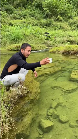 #iphonevideography #iphonetricks #naturalview #naturelover #iphonevideos #viraltiktok #natureathome #peace #trendingeffect #birdslover #flowers #nature #msanan212 