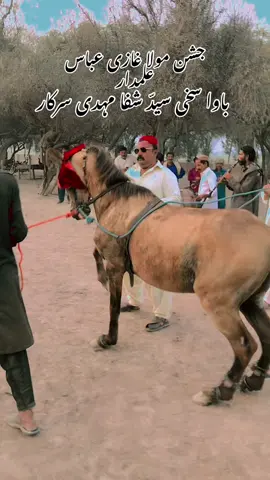 #یاعلی_مولا_علی_یاعلی #🥰❤️🥰 #standwithmoulaicommiunty #foryou #100k 