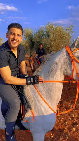ما شتقتولي 😍 #فهد_الحوت #خيل_الحوت #خيل_عربي_اصيل #اعزاز 