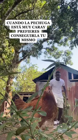 Se escapo 😂😂😂 #parati 