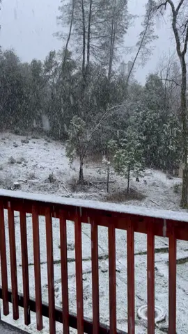 Nevada en el rancho #nevando #enlasierra #paisajes #lapinera #elarroyo #lluvia #sierradecalifornia #enelrancho #viralvideo #vieje #encamino 