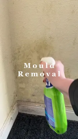 Mould spray is just 😘🤌🏻 #CleanTok #mouldremoval #mouldspray #astonish #cleanwithsash 
