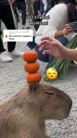 Replying to @𝐍𝐉𝐋𝐭𝐡𝐞𝐀𝐰𝐞𝐬𝐨𝐦𝐞🇸🇬 Masbro did not move an inch 👀 #Capybara #taiwan #rodent #masbro