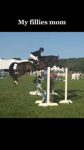 Jk she’ll do big things someday too🥰 #foal #foalsoftiktok #fyp #foryou #horse #horsetok #eventing #equestrian 