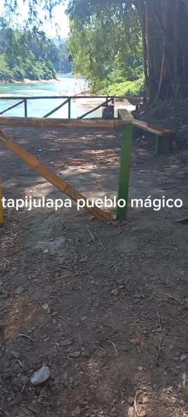 #eltrive 