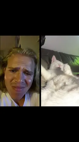 Demonic little guy #dubiouslittlecreature  @bubbyclub #charliethecat #tragic #funny #meme #foryou #fyp #foryoupage