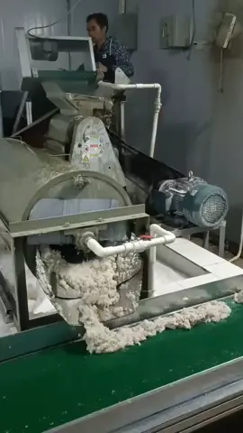 pueraria starch extraction and filtering machine#starchmachinery 