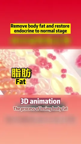 The process of losing weight #drdai #weightloss #hualiangweightlosscenter #visceralfat #fat #obesity #weightlosscommunity #fyp #health
