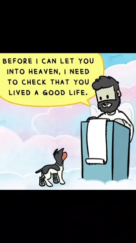 heaven part 1.5 #dogsofttiktok #dog #wholesome #fyp 