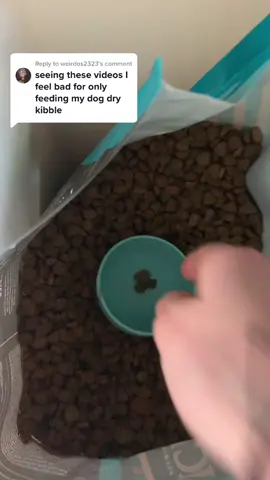 Replying to @weirdos2323 #tuxedo #tuxy #tuxedothepup #dogsofttiktok #dogtok #feedingtime #feeding #feedingroutine #kibble #kibblefeddogs #brekkie #breakfast #dinner #dinnertime #letsfeedtuxedodinner #dogfood #dogfeeding #dogfeedingroutine #dogkibble #healthydogsarehappydogs #fyp #foryou #foryoupage #gsd #germanshepherdmix #germanshepherd  #kibbletopper #letsfeedtuxedobreakfast #feedthedoginfrontofyou #fedisbest #myos #dogsupplements 