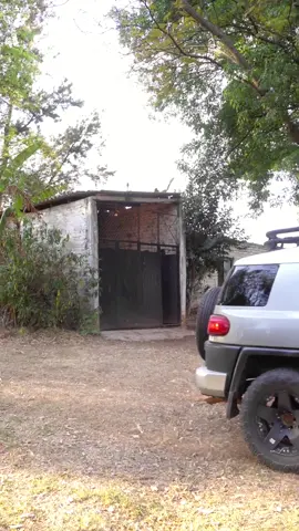 Don wicho es atropellado por don Silverio y su nieto 🥴🚙 @Don silverio Gaitan Uribe @Carlos Navarro 🥇 