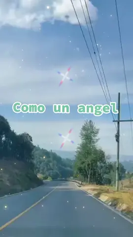 #leomattioli_el_gran_leon #viral #parati #comounangel 