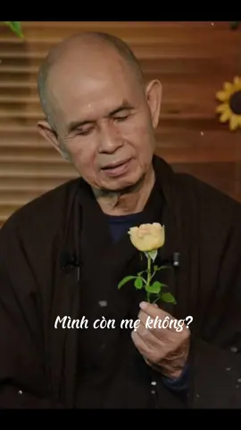 🌿 Trích “Bông Hồng Cài Áo” của thiền sư Thích Nhất Hạnh… Mình còn mẹ không?  “Mẹ Già như chuối Ba Hương Như xôi nếp một, như đường mía lau”  Chỉ khi nào mẹ đến, kéo chăn đắp lại ngực cho ta. Đặt bàn tay lên trán nóng và than thở “khổ chưa con tôi” ta mới thấy cảm thấy đầy đủ ấm áp, thấm nhuần chất ngọt của tình mẹ ngọt thơm như chuối ba hương đường mía lau xôi nếp một ấy không bao giờ cùng tận…” #ph#phatphapnhiemmauh#phatphaph#thichnhathanho#bonghongcaiaou#xuhuong