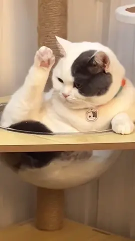 🥰