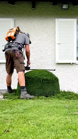 awesome trimming by @vonaxgaerten on Insta 🤘 #trimming #Metallica #🤘 #fastforward #asmr #satisfyingvideo #4u #CleanTok 