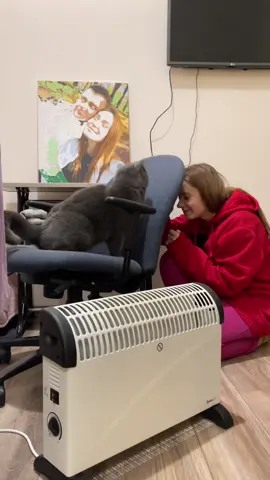 Не жартуй зі мною 😼