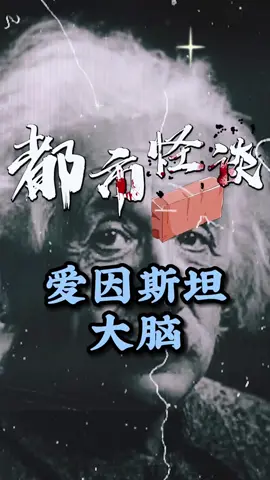 愛因斯坦的大腦#怪哥說怪事 #愛因斯坦的大腦 #都市怪談