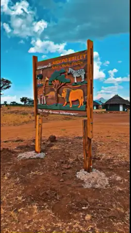 Welcome to Kidepo Valley National Park in Northern Uganda.The True African Wilderness.#foryou #explore #trending #tourism #exploreuganda#ugandantick