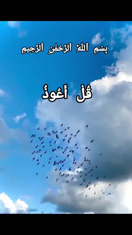 Surah Falaq #alhamdulillah #islam #allah #fyp #foryou #foryoupage 