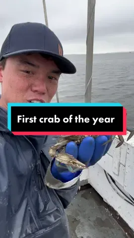 Did you know Maryland crabs hibernate? all crabs were paid actors and no crabs were harmed in this video 🦀 #fvsoutherngirl #bodkinpointseafood #youaintnocrabber #crabs #maryland #seafood 