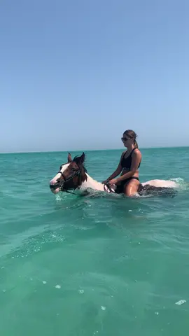 Swimming with the horse 🏝️🐴 +201063247076 👈 for booking                @sunset_horse_ranch  @sunset.horse.ranch 🌅 #horseridinginhurghada #horseriding #horserider #reelsinstagram #reels #horseride #horseridinglesson #horseriding🐴 #horseridingholidays #horseridersofinstagram #hurghada #hurghadaegypt #hurghada_hotels #hurghda #hurghada_egypt #hurghadians #hurghada2022🔆🌴✈️🐪🇪🇬 #hurghada😍 #hurghadaegypt🇪🇬 #hurghadaresidents #hurghada❤️ #hurghadacity