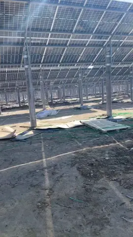 Big solar panels installation 😎 #solarpanel #green #energy 