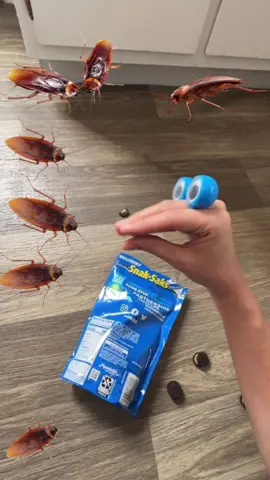 THE ROACH KING🪳👑 #LevelUpBootcamp #TikTokPartner 