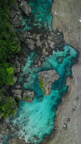 🇵🇭 Natural Pool in the Ocean 🌊 🇬🇧🔝 Just 45 minutes from General Luna, 15 minutes from Maasin River, you will find the Magpupungko Rock Pools and Flats. 💬 You have to go at low tide to make the most of this natural pool with incredible colors. You will have the chance to swim in crystal clear water with the waves coming to fill it and the big waves breaking in the reef a few meters away.  😍 At 70php entrance fees you can spend a few hours relaxing. 🇫🇷🔝 A seulement 45 min de General Luna, 15 min apres la Maasin River, vous trouverez les Magpupungko Rock Pools and Flats. 💬 Il faut y aller à marée basse pour profiter au maximum de cette piscine naturelle aux couleurs incroyables. Vous aurez la chance de vous baignez dans une eau cristalline avec les vagues venant la remplir et les grosses vagues se brisant sur le récif à quelques mètres.  😍 A 70php l’entrée vous pourrez y passer quelques heures à vous détendre. 📍Magpupungko Rock Pools and Flats, Siargao Drone : @DJI Official  Edit : @CapCut & @lightroom  #magpupungkosiargao #magpupungkorockpools #siargaoislandphilippines🏝 #djiglobal #djimini3pro #travelphilippines #madewithlightroom 