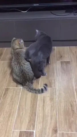 🥰