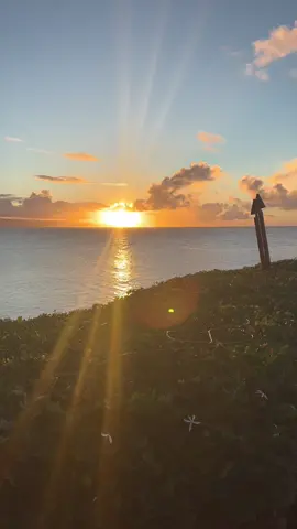 Hawaii is such a special place 🌺 and definitely a therapy dupe  📍maui, Hawaii