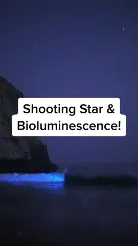Bioluminescence alone is amazing but adding a shooting star in the mix makes it even better! Check the top right corner.  #bioluminescence #shootingstars #redtide #ocean #crystalcove 