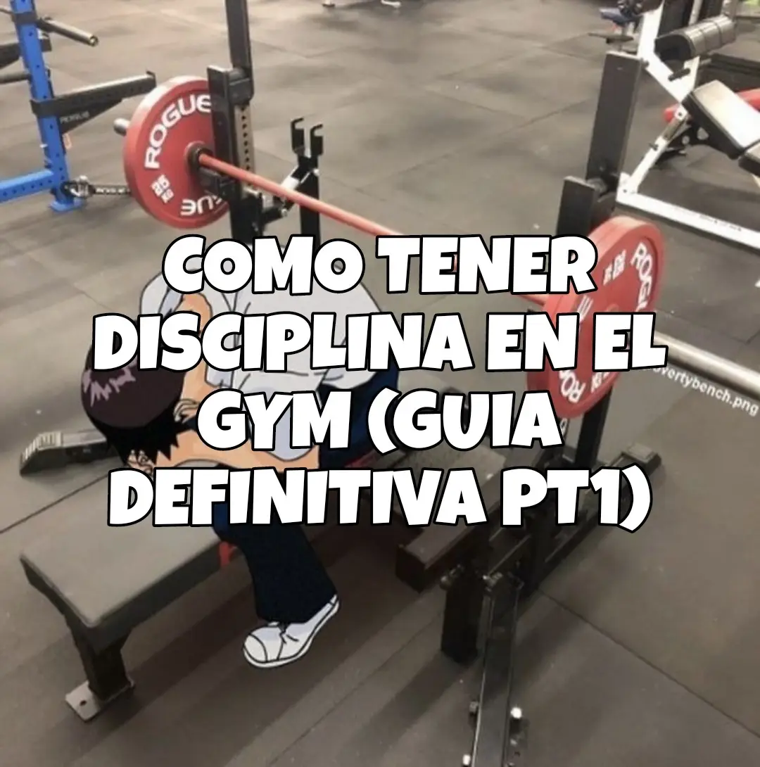 Como Ganar disciplina en el Gym #disciplina #parati #exitopersonal #exito #habitosaludables #habitos #motivacion #nofap #gym #gymmotivation 