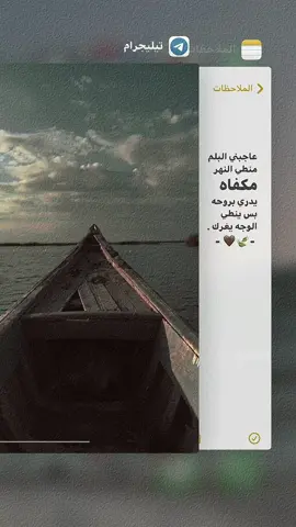 بيت شعر علذوقك 🤎🍃 .    