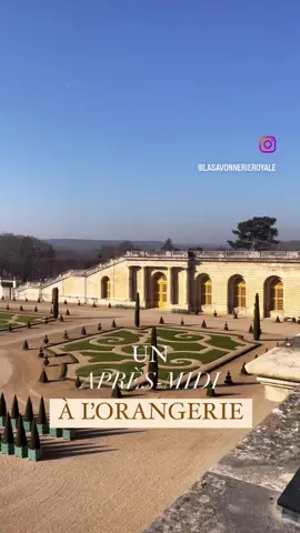 Un après-midi à l’Orangerie du Château ! ⚜️  #lasavonnerieroyale #versailles #chateaudeversailles #versaillespalace #orangerie 
