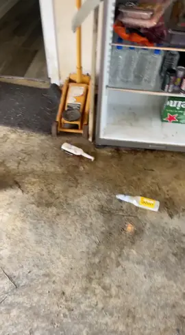 That was the last thing I expected to be the beer bandit! 🤣🍺❓  #viralhog #humor #pets #bandit 