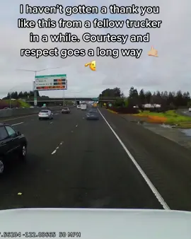 #screammovie #truckerslife #truckinglifestyle #truckdriversoftiktok #courtesy #respecttrucks 