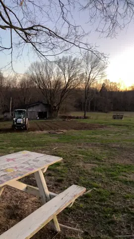 Perfect spring like evening! We are looking forward to warmer weather and time outside. 🥰 #summershadefarms #kentucky #farmlife #fyp #dinnertime #mangalitsapork #peacefulevening #simplelife #gardenprep #thankful #farmfresh #pastureraised #homegrownpork 