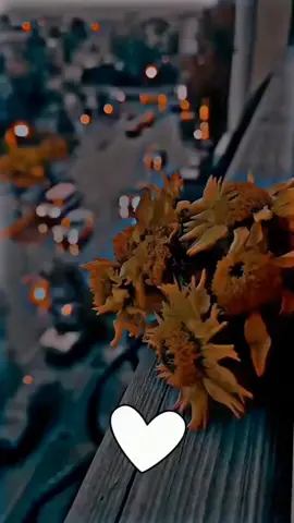 عباره محتفظ فيها #يا الله#🥀لآ عشـت دور آلطـفولهہ ولآ تهہ نيـﮯت بشـبآبيـﮯ💔🥀#اكسبلور#لايك#متابعه#ستوريات#حزينه#حالات#وتس#عبارا#حزن#اكسبلور#ستوريات#لايك#متابعه#💔🖤🥀