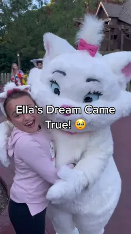 All her 8 years of life my daughter has loved Marie from the Aristocats. Marie doesn’t meet and greet at WDW but we found out she was in a parade. I told my daughter if we screamed really loud maybe we could get a fist bump but then this happened 🥹##dreamcome##disneyparks##marie##aristocats##heroes@disneyparks