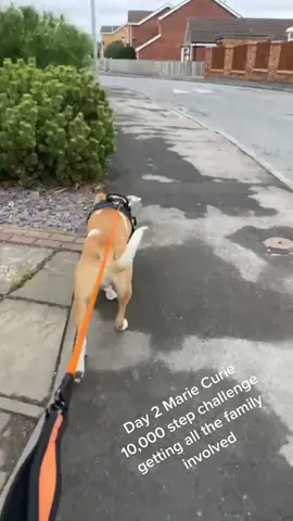Day 2 Marie Curie Curie 10,000 steps a day challenge. Bossed it 🙌 #superdrug #teammonkscross #charity #letsdothis #stepschallenge #dogs #schoolrun #work @SDREGION1 